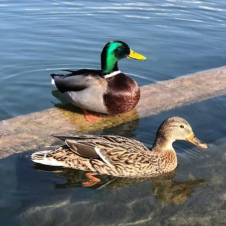 And Castle View Apartma *