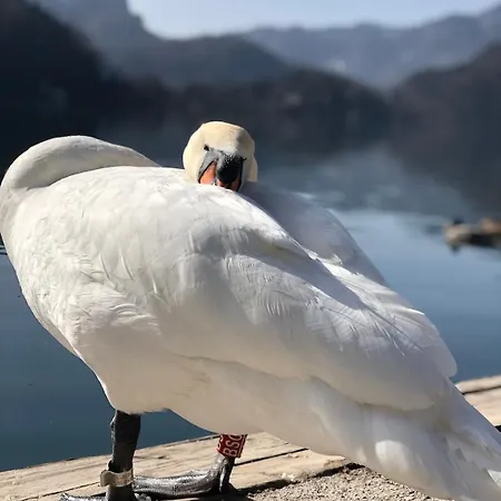 And Castle View Apartamento