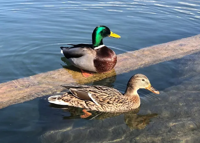 And Castle View Apartamento *