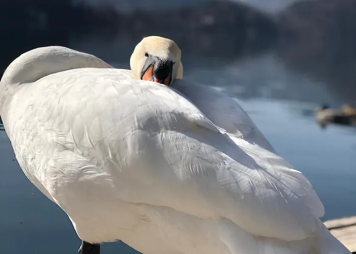 And Castle View דירה